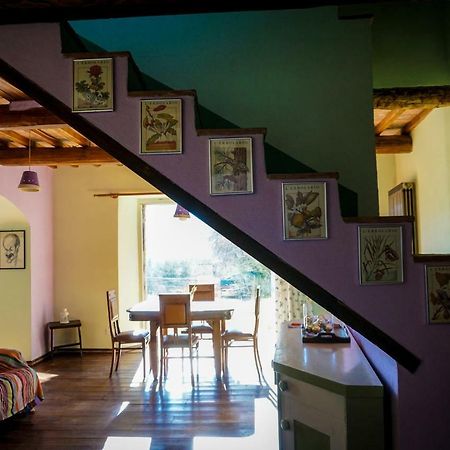 La Casina Di Giannetto Guest House Seggiano Ngoại thất bức ảnh